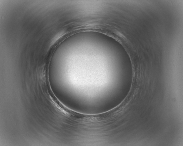 X0000053071450200507251447