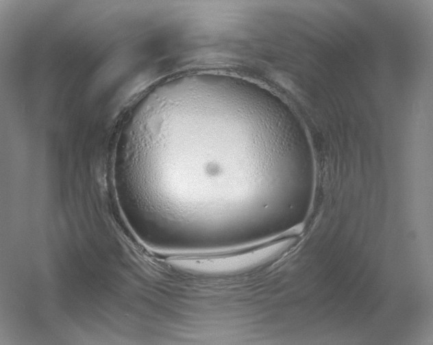 X0000053071451200507251447