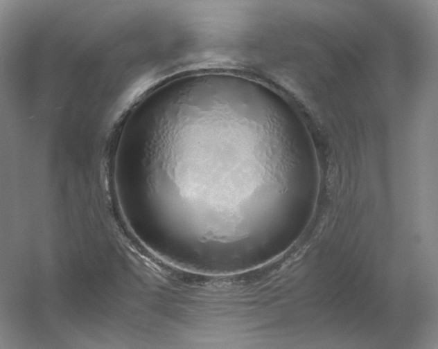 X0000053071455200507251447