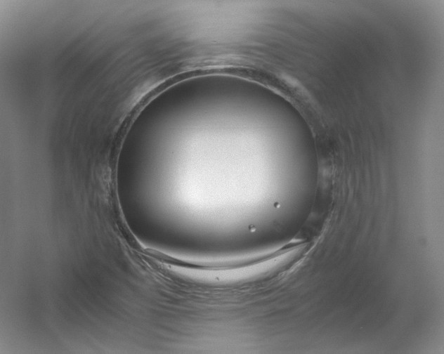 X0000053071457200507251447