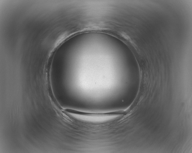 X0000053071459200507251447