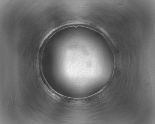 X0000053071460200507251447