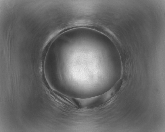 X0000053071461200507251447