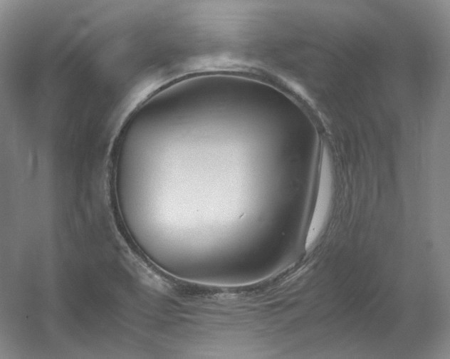 X0000053071463200507251447