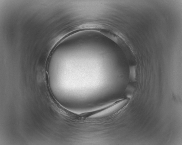 X0000053071465200507251447