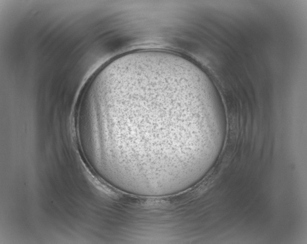 X0000053071466200507251447