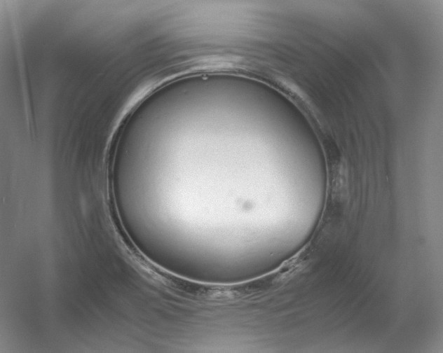 X0000053071467200507251447