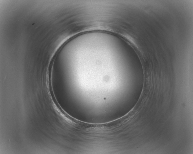 X0000053071468200507251447