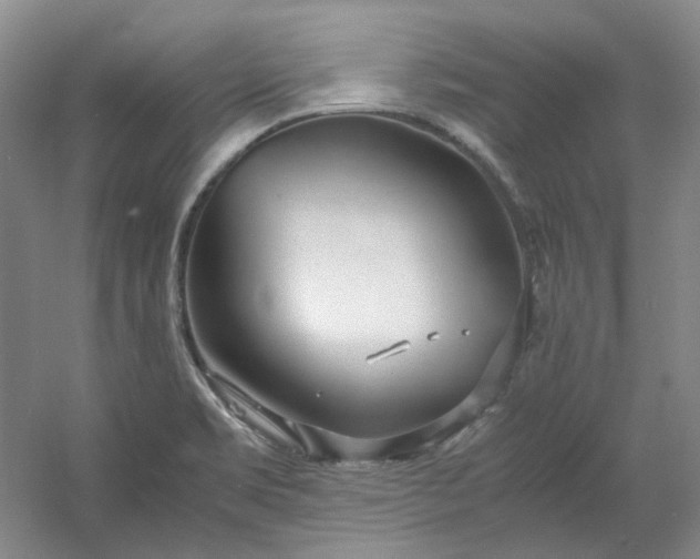 X0000053071469200507251447