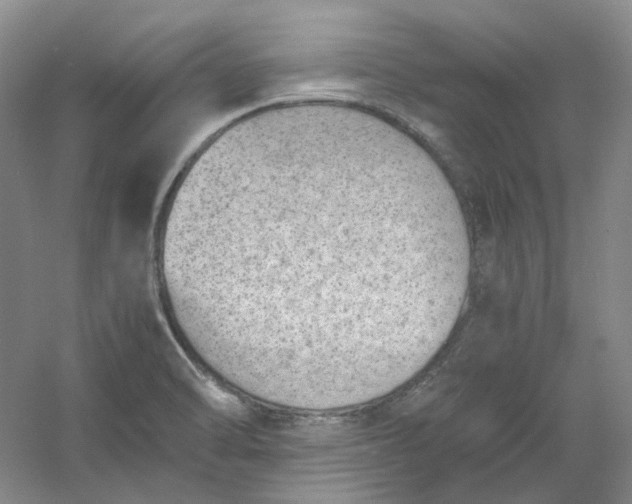 X0000053071470200507251447