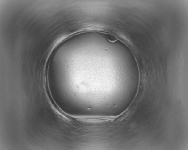 X0000053071471200507251447