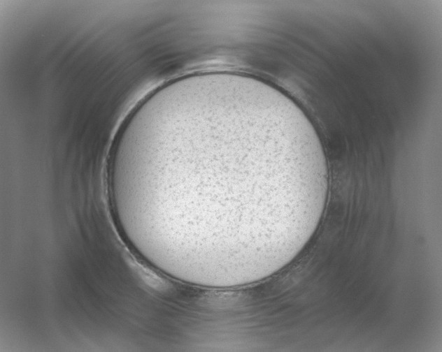 X0000053071474200507251446