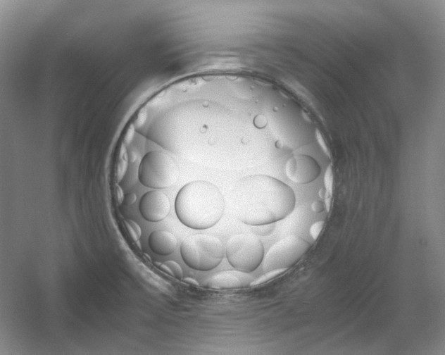 X0000053071475200507251446