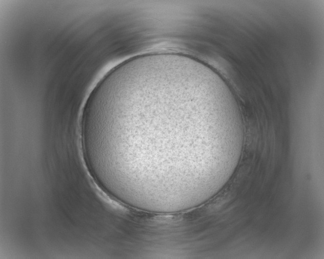 X0000053071478200507251446