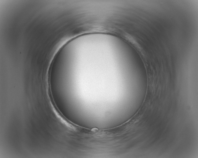 X0000053071479200507251446