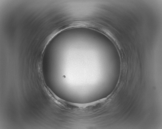 X0000053071481200507251446