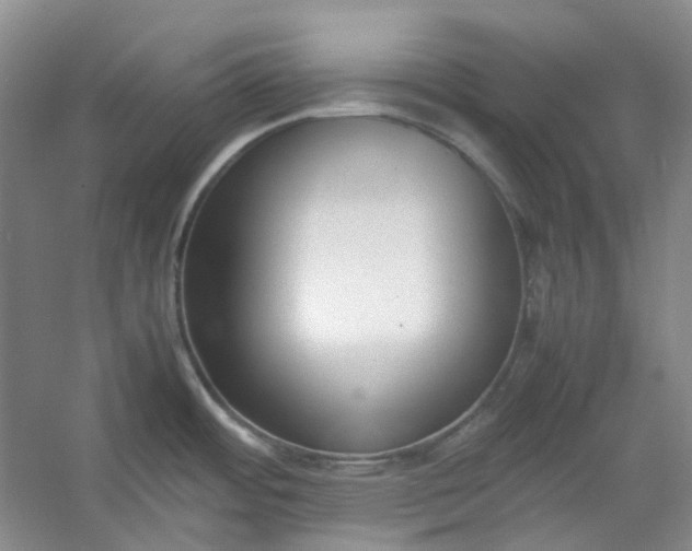 X0000053071484200507251446