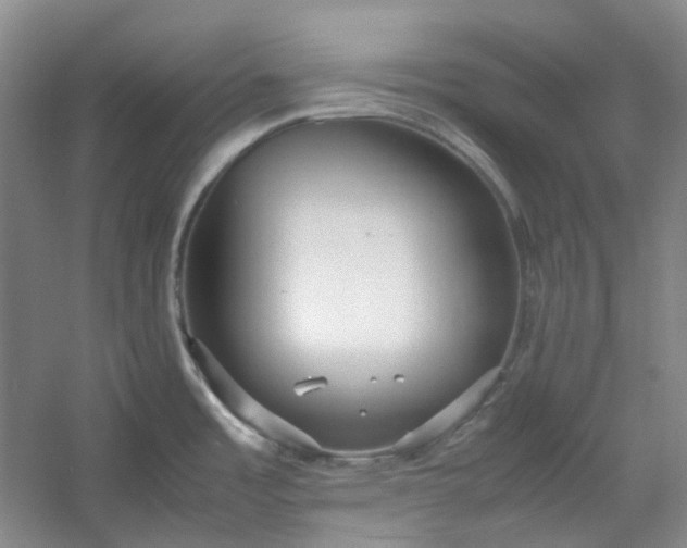 X0000053071485200507251446