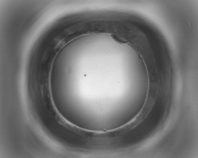 X0000053071487200507251446