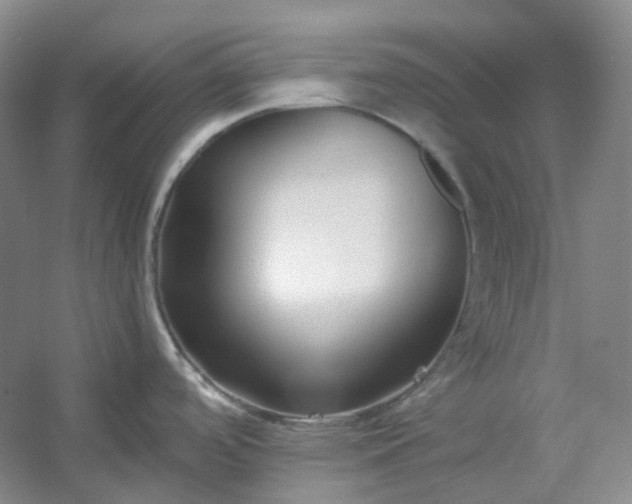 X0000053071488200507251446