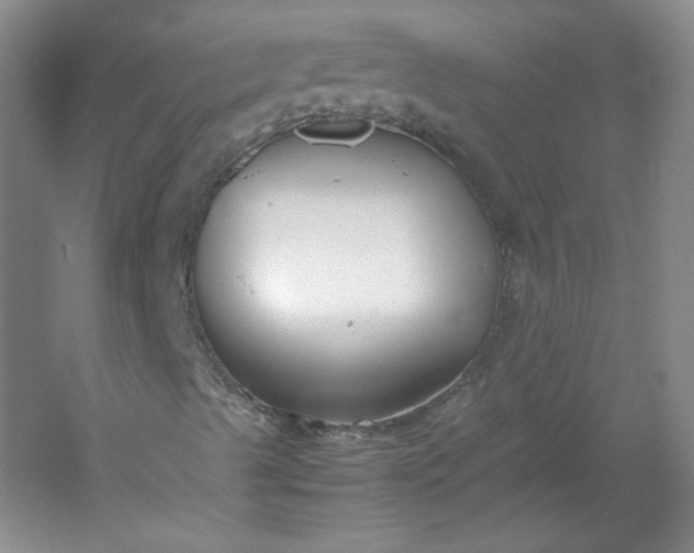 X0000053071489200507251445