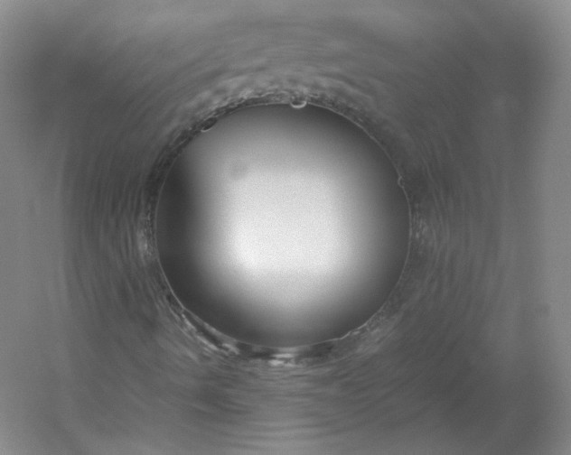 X0000053071490200507251445