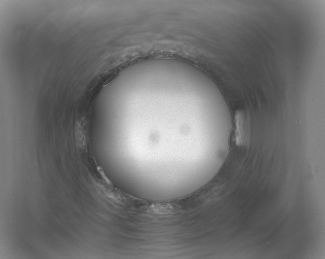 X0000053071491200507251445