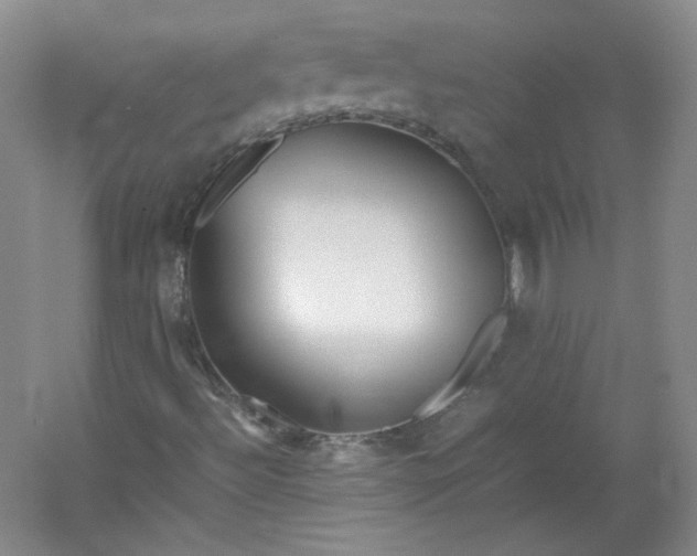 X0000053071492200507251445