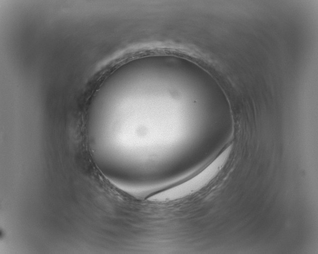 X0000053071494200507251446