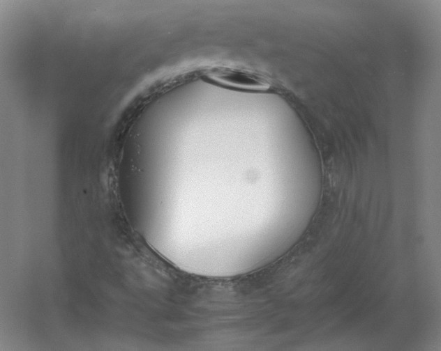 X0000053071495200507251446