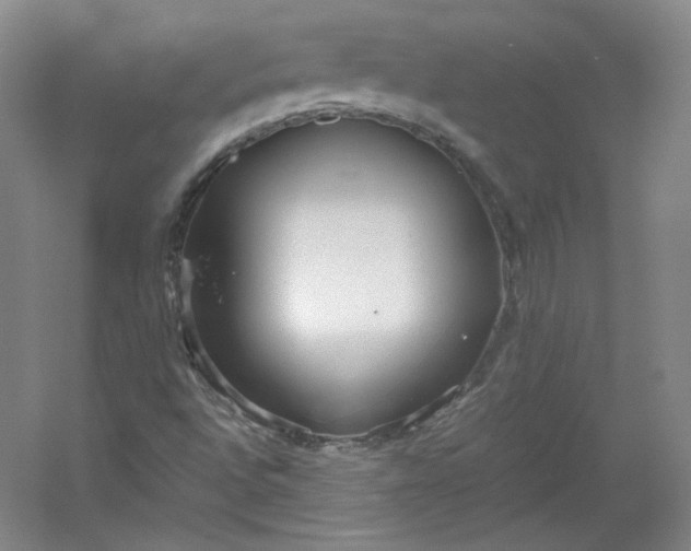 X0000053071496200507251446