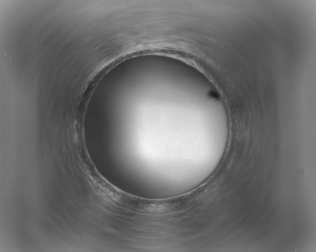 X0000053071497200507251446