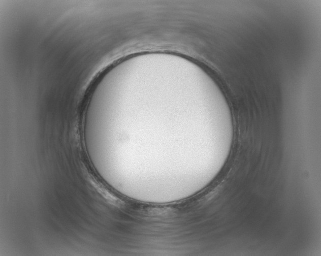 X0000053071498200507251446