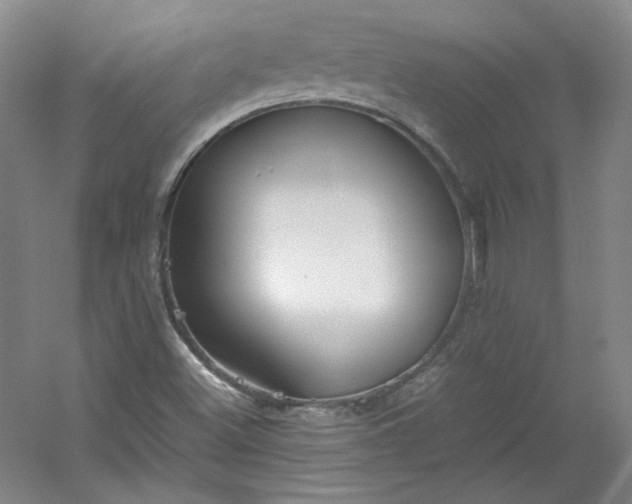 X0000053071500200507251446