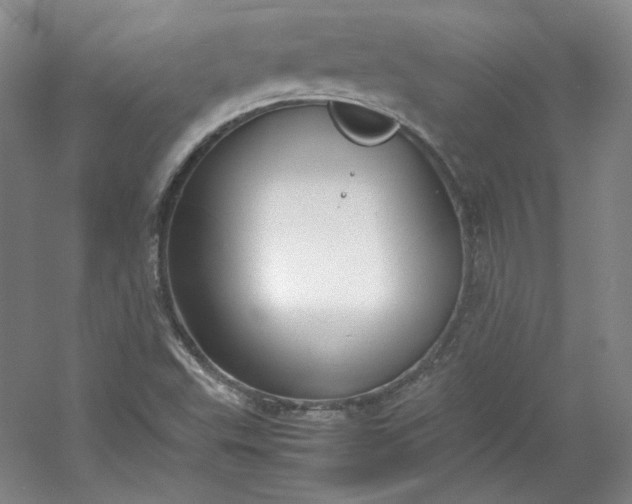 X0000053071503200507251446