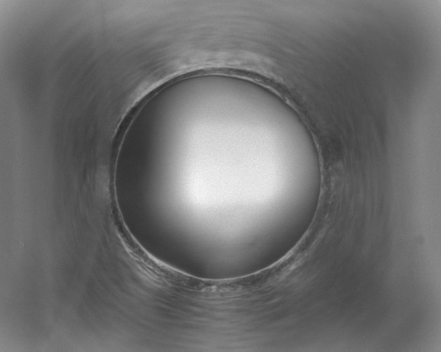 X0000053071505200507251446