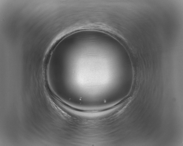 X0000053071506200507251446