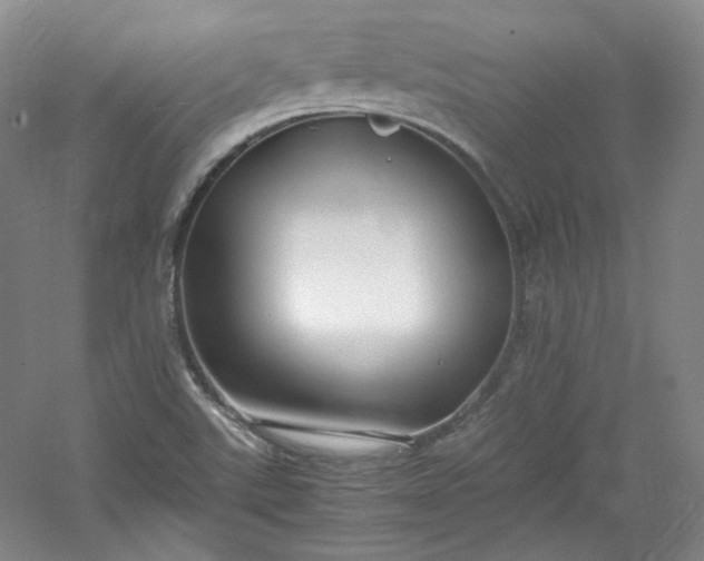 X0000053071507200507251446