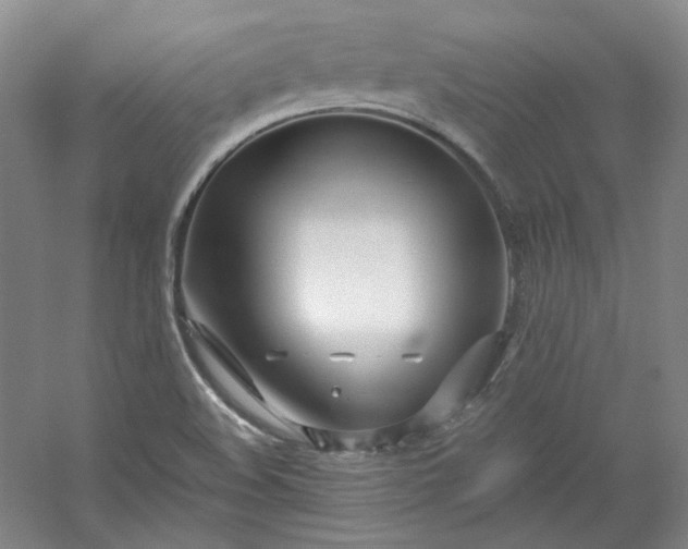 X0000053071508200507251446