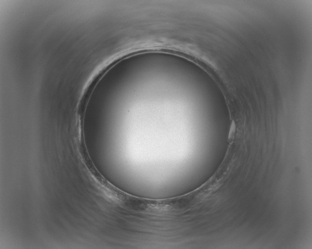 X0000053071509200507251446