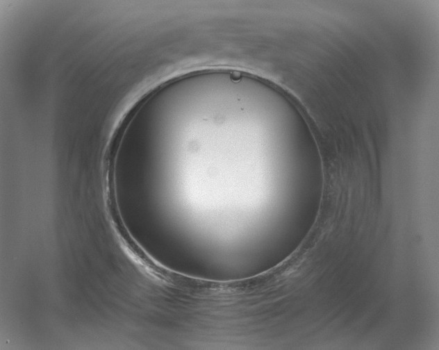 X0000053071511200507251446