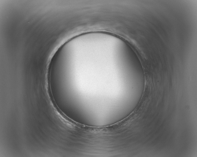 X0000053071512200507251446