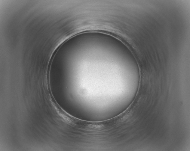 X0000053071513200507251446