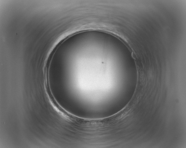 X0000053071515200507251446