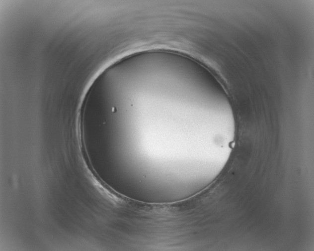 X0000053071516200507251446