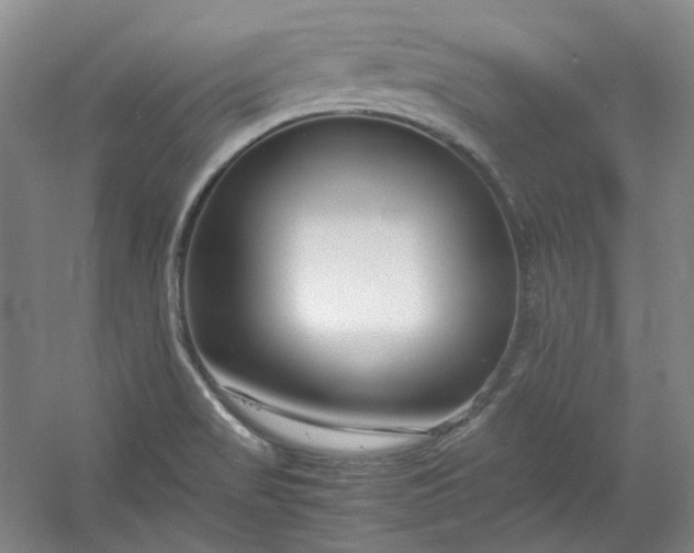 X0000053071517200507251446