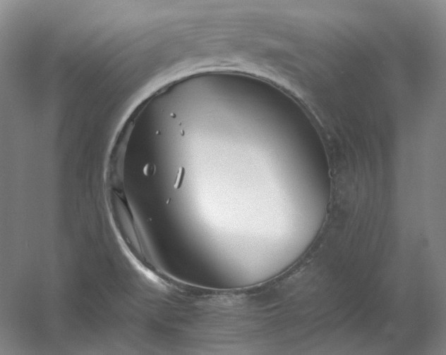 X0000053071519200507251446