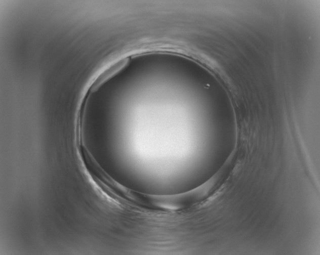 X0000053071520200507251446