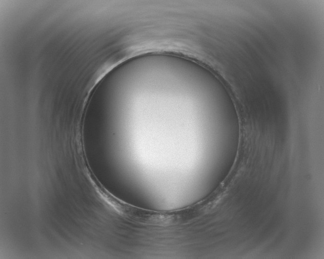 X0000053071521200507251446