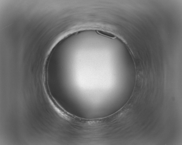 X0000053071523200507251446